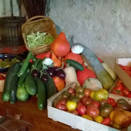 Sarl La Ferme Aux Fleurs 3*