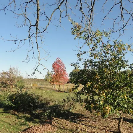 La Ferme Aux Fleurs *