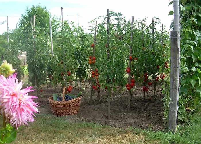 Sarl La Ferme Aux Fleurs B&B 3*