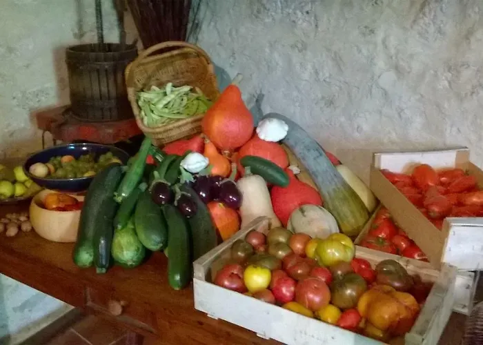 Sarl La Ferme Aux Fleurs 3*