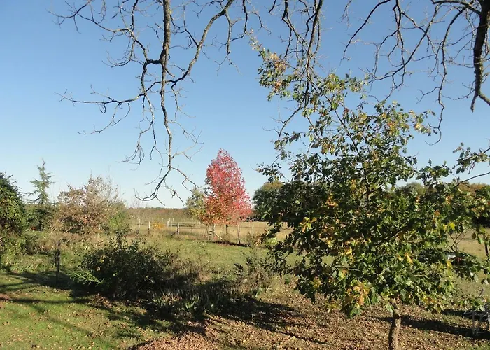 Sarl La Ferme Aux Fleurs 3*